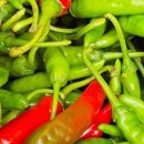 해곤농장 이미지