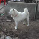 구월농장 이미지