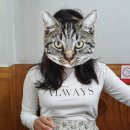 영일복집 이미지