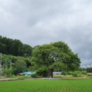 사창7리 이미지