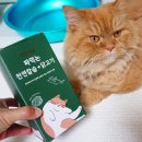 고양이간식추천 에코이츄 고양이츄르 친환경간식 급여후기