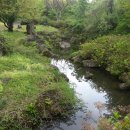 절물자연휴양림 이미지