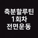디테일링블리스 | 축분할루틴 1회차 / 축분할 장단점 정리 / 분할루틴 / 운동분할법