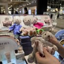 테디베어스 | 현대백화점 비클린 팝업에서 만난 플로로도라 설선물세트 추천｜유스메모리 &amp; 카밍아일랜드 체험 후기