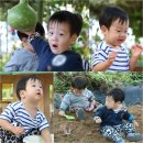 김성수농장 이미지