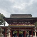 유리미내 | 나 혼자 후쿠오카 🇯🇵