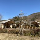 선정은하수꼬막마을 이미지