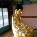 불주사 - 636 | 불주사