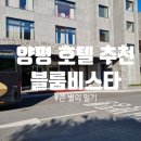 라라킴 | [양평 호텔 추천] 블룸비스타 호텔 앤 컨퍼런스 스탠다드 트윈룸 후기