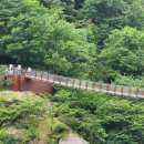 지리산예치출렁다리펜션 이미지