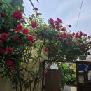 대경석유 이미지