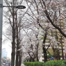동탄 병점 전자담배 액상맛집 with 추추베이프