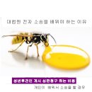 성년후견인 소송이 필요한분 이미지