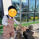 [농장체험 흙놀이터] 스페이스팜 다산점/ 1월 떡 만들기 우리쌀농장 후기