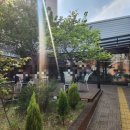 더남산 | [반월당카페][더남산커피앤디저트] 대구 도심 속 위치한 대형카페 더남산 방문 후기