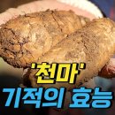 천마
