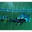 욜로 | 부산서구토성동스킨스쿠버 부산에서 다이빙 배우기, 욜로다이브 후기