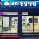 꼬마동물병원 | 강북구 수유동 동물병원 꼬마동물병원 진료시간 접근성 이용후기