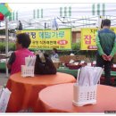 봉평약초