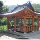 정자 이미지