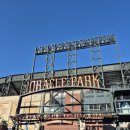 메이저2 호스텔 | #5 세계여행 샌프란시스코 여행기 오라클파크 3층시야 이정후 직관후기