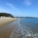 신지명사십리해수욕장 이미지