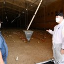 부림2농장 이미지