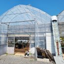 헬로우마켓 이미지