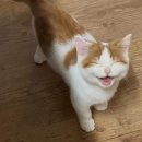 정글PC방 이미지