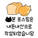 알리스테이 이미지