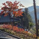 삼매목장 네이버블로그