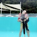 남원 아이랑 여행 수영장 포토존이 이쁜 스위트 호텔 로얄스위트룸 조식 후기