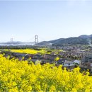 남해성판소리공연 | 남해 숨은 명소 발견! 금당도는 왜 여행자들의 극찬을 받을까?