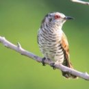 소계동157 이미지