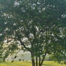 모어앤뷰티 | 웨딩준비💍 3. 웨딩 촬영 플라워디렉팅 추천🌸(로즈앤모어_계약 후기/짝꿍코드 페이백)