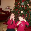 복실강아지 이미지