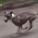 춘봉농장 네이버블로그