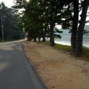 보행자전용도로 이미지