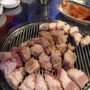 제주명돼지 - 47636 | 제주명돼지