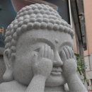 개밥주는고양이 이미지