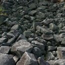 염주초교 이미지