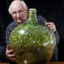 자정농장 이미지