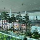인천국제공항대우바로코너 | 인천국제공항 T2 제2터미널 스카이허브 라운지 위치 음식 메뉴 후기