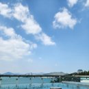 슈가브리움 2 이미지