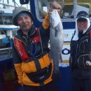 6월8일 오천항 까치선장 &#34;까치선장 다잡아&#34; 3분 황제낚시 농어,우럭,광어 다잡아 조황 이미지