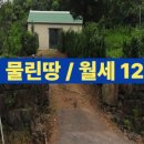 다도 숲으로 민박 이미지