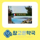 참고은약국 | #혈관부터 피부까지, 당신을 깨우는 항산화제_셀로맥스 명품 피크노제놀