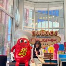 초코빈 | [미국여행] 라스베가스 뷔페 위키드 스푼 내돈내산 리뷰 불만족 후기