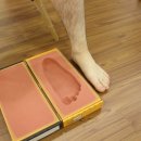 엘림의원 이미지