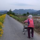 금국농장 이미지